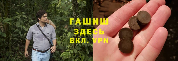 сатива Ростов