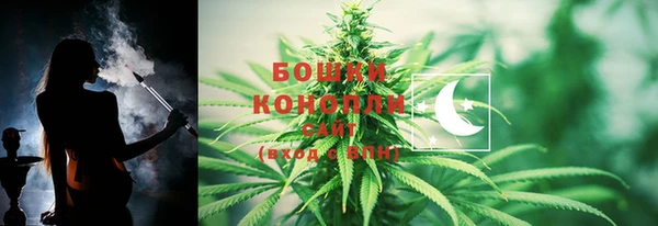 сатива Ростов