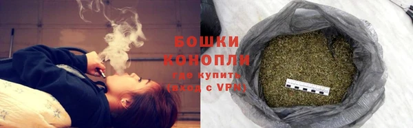 сатива Ростов