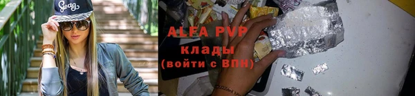 сатива Ростов