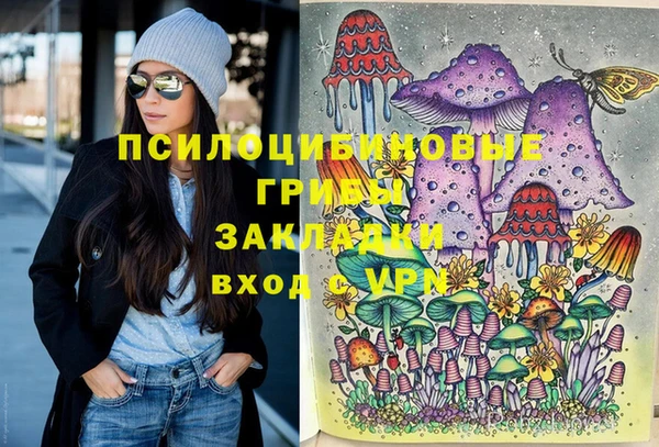 spice Рославль